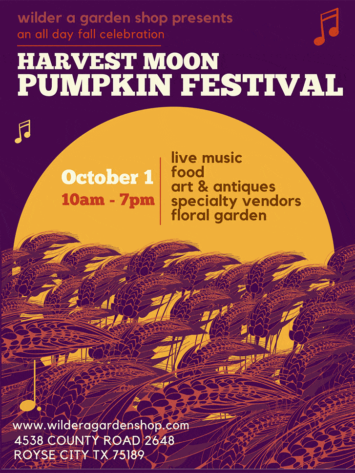 Harvest Moon Pumpkin Festival Event Flyer