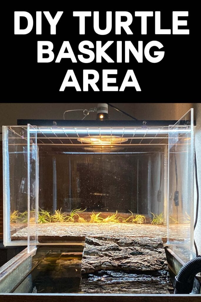 new custom DIY turtle basking area with the text "DIY TURTLE BASKING AREA"