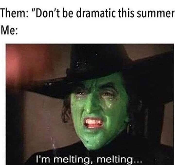 wicked witch of the east melting with text "them: don't be so dramatic this summer me:"