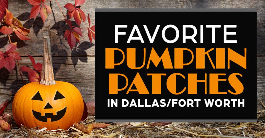 A carved pumpkin sits on hay next to the title "favorite pumpkin patches in dallas/fort worth"
