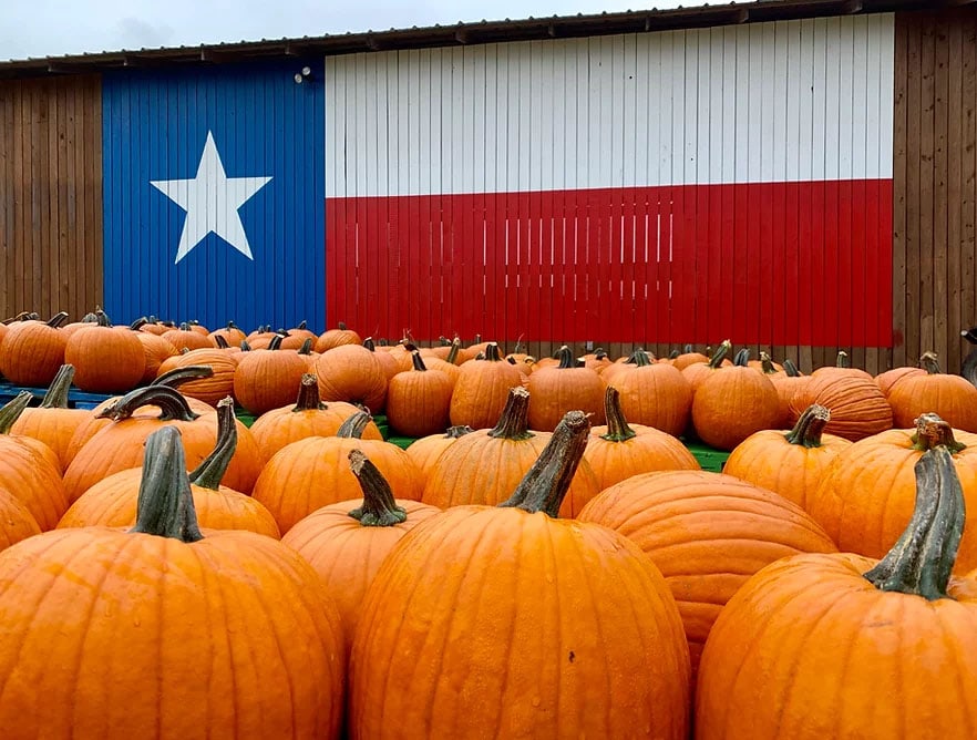 pumpkings arranged in front of a texas flag at Yesterland Farm