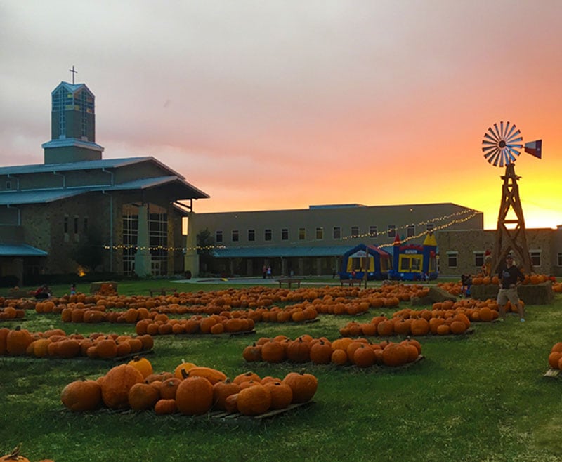 Sunset on the pumpkin patch at Pumpkins on the Prairie