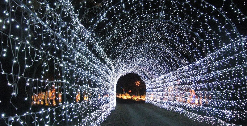 A long light tunnel stretches on at the Land of Lights