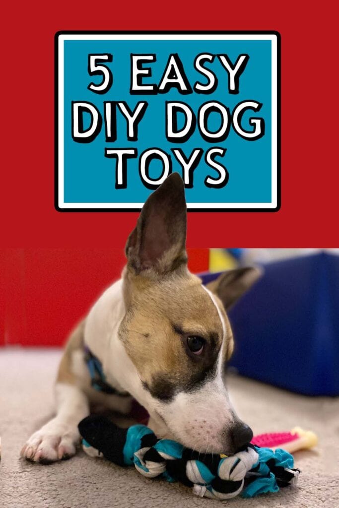 Cute puppy sleeping next to a DIY dog toy with the title text "5 easy DIY dog toys"