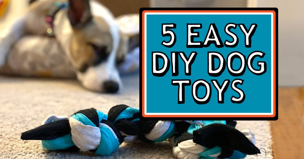 Picture of a cute puppy sleeping next to a DIY dog toy with the title text "5 easy DIY dog toys"