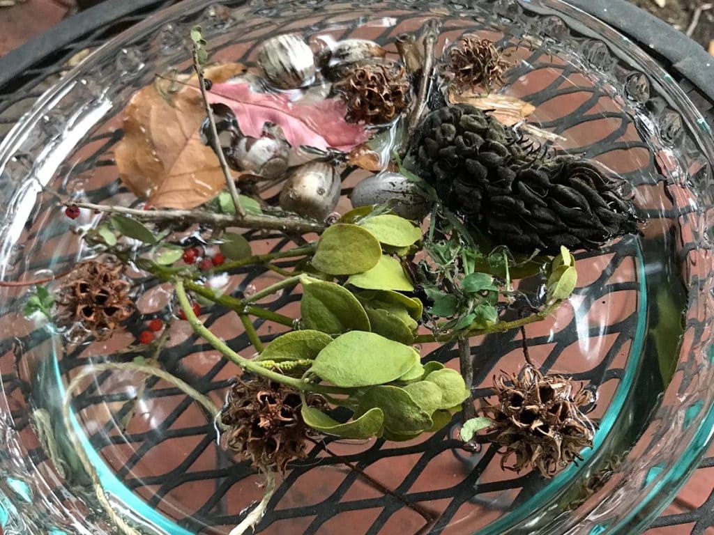 An assortment of pice cones, nuts, berries, twigs, and leaves sit inside a glass pie dish