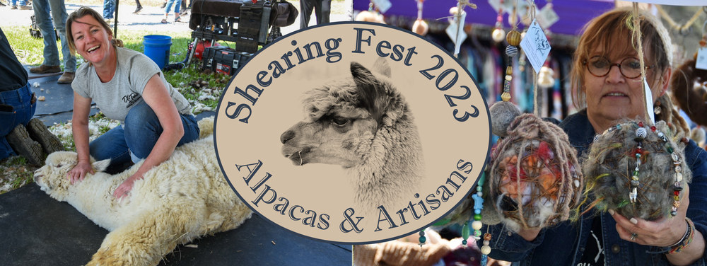 event flyer for Shearing Fest 2023, more info at event listing link