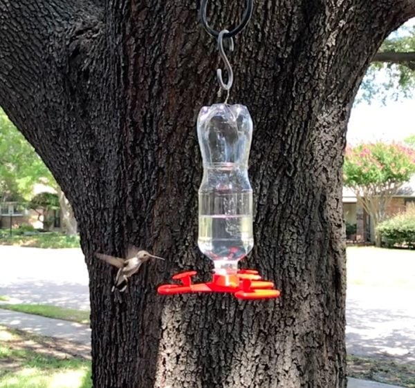DIY Hummingbird Feeder [3D Print] DFW Craft Shows