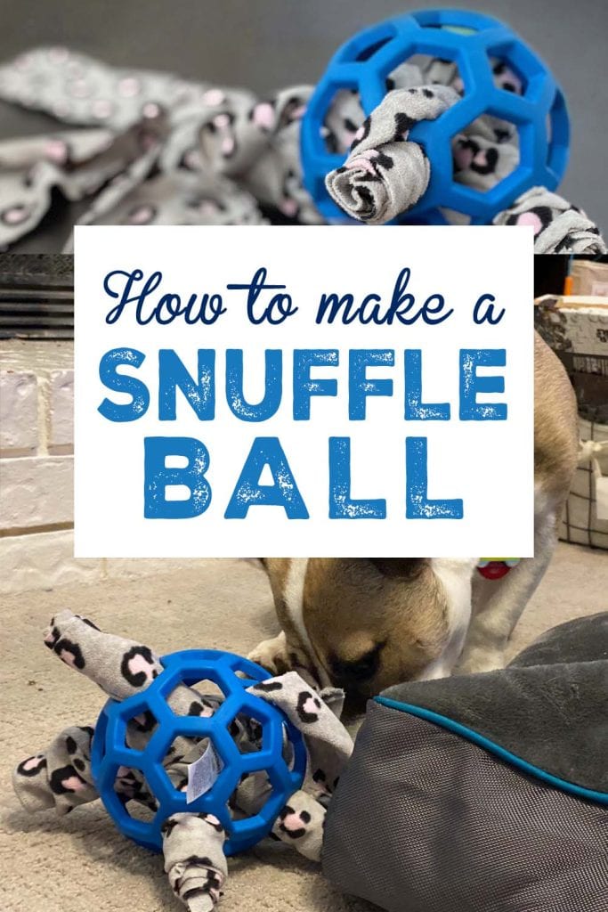 A collage shows a picture of a blue holee roller snuffle ball on top and a beige and white dog playing with it on the bottom. The text reads "how to make a snuffle ball"