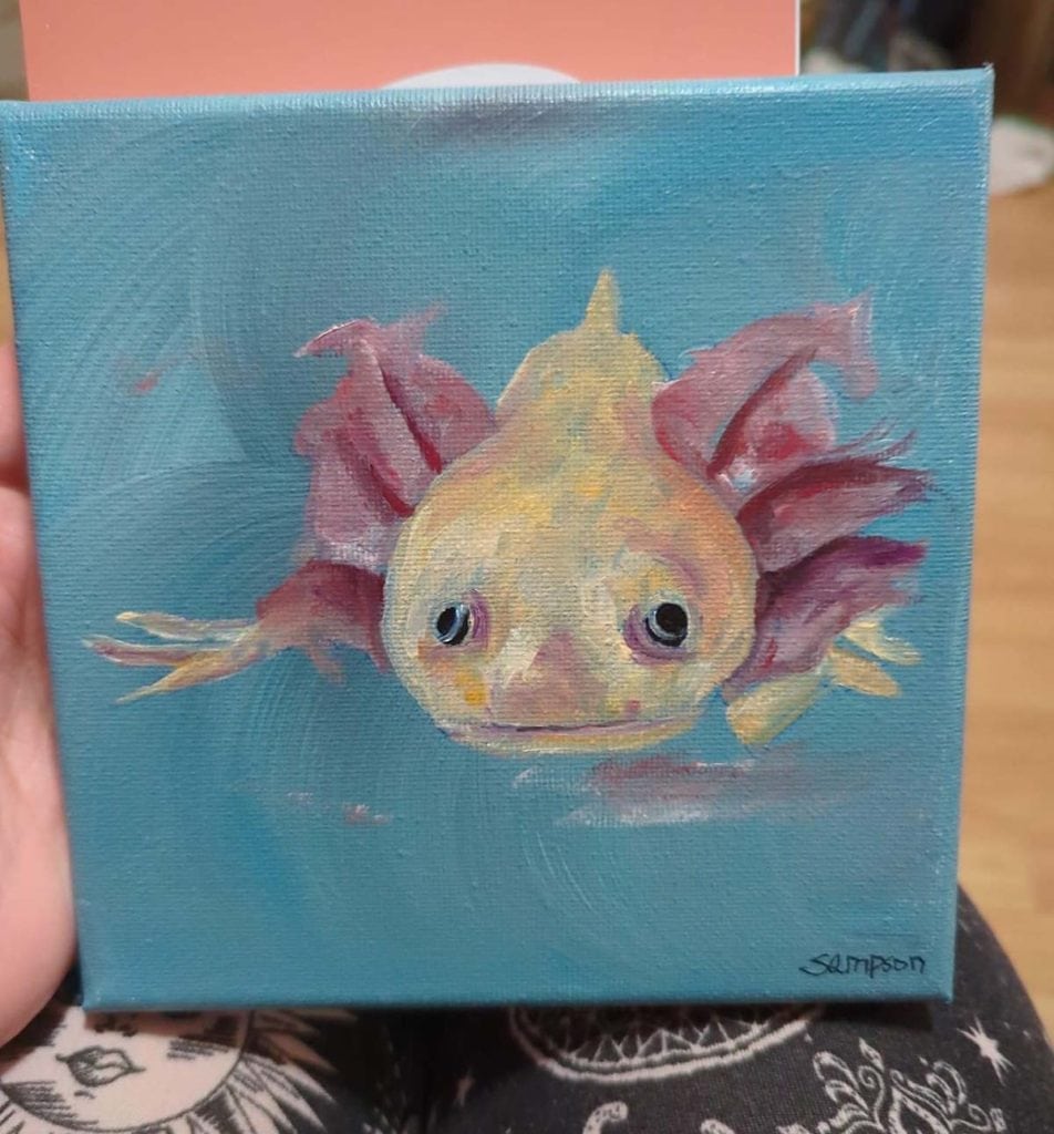 Chewy portrait of Ashley's axolotl, Noodster