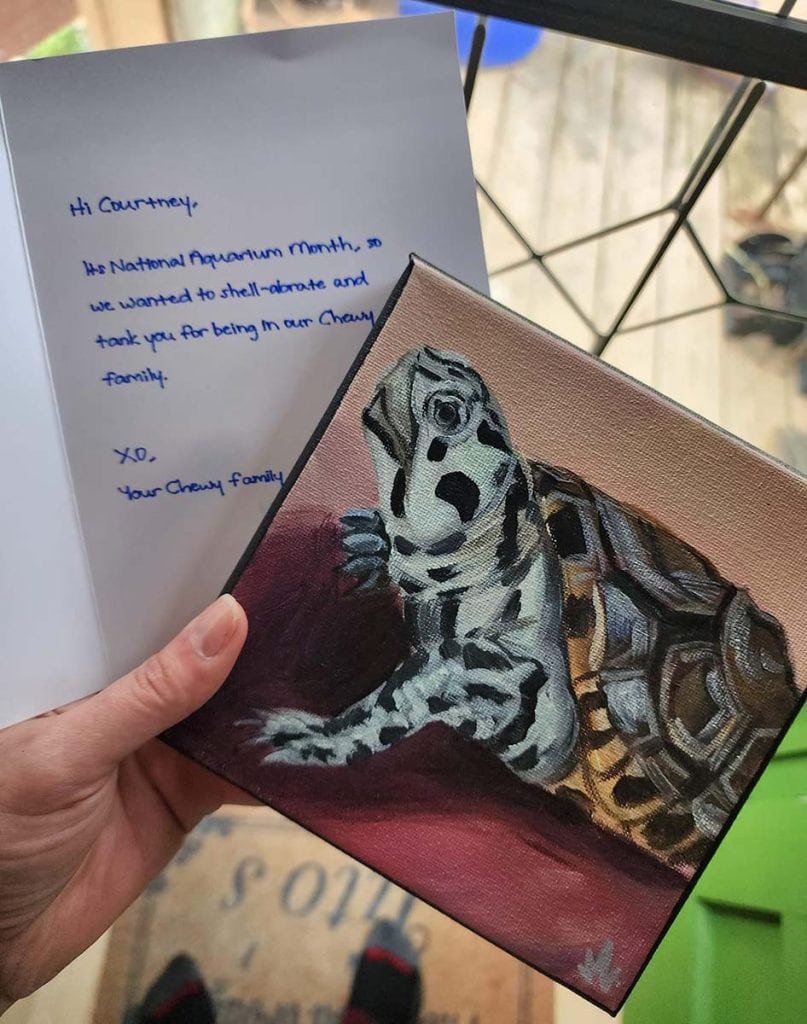Courtney's turtle portrait sent by Chewy alongside her thank you note.
