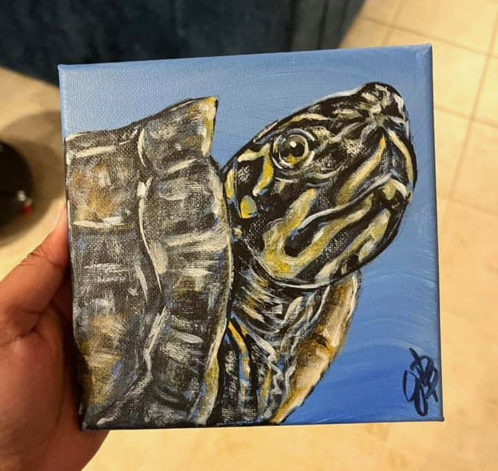 Jessica's pet portrait from Chewy of her turtle