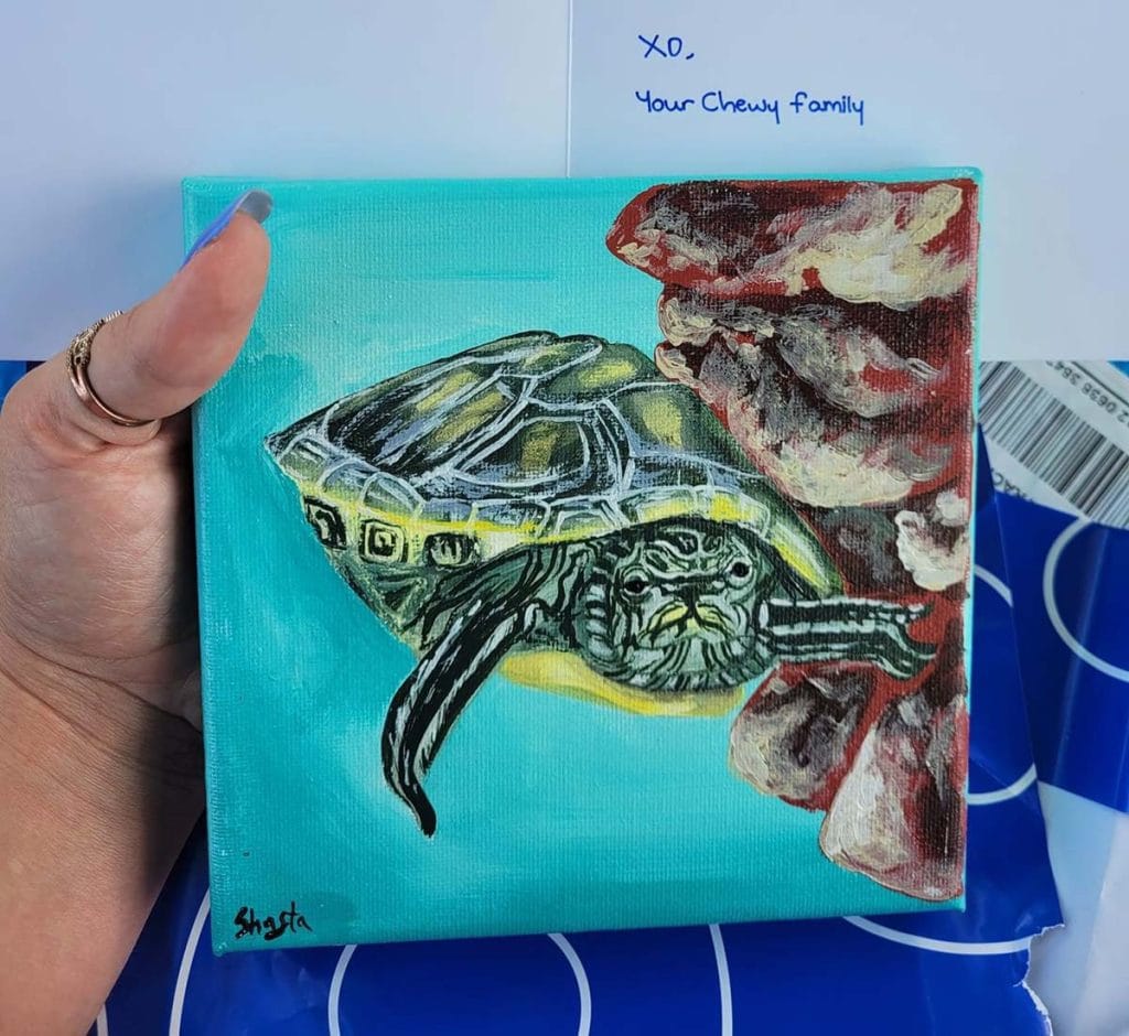Chewy pet art for Michelle of her turtle