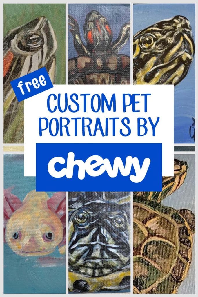 a collage of pet portraits sent by Chewy with the text "Custom pet portraits by chewy"