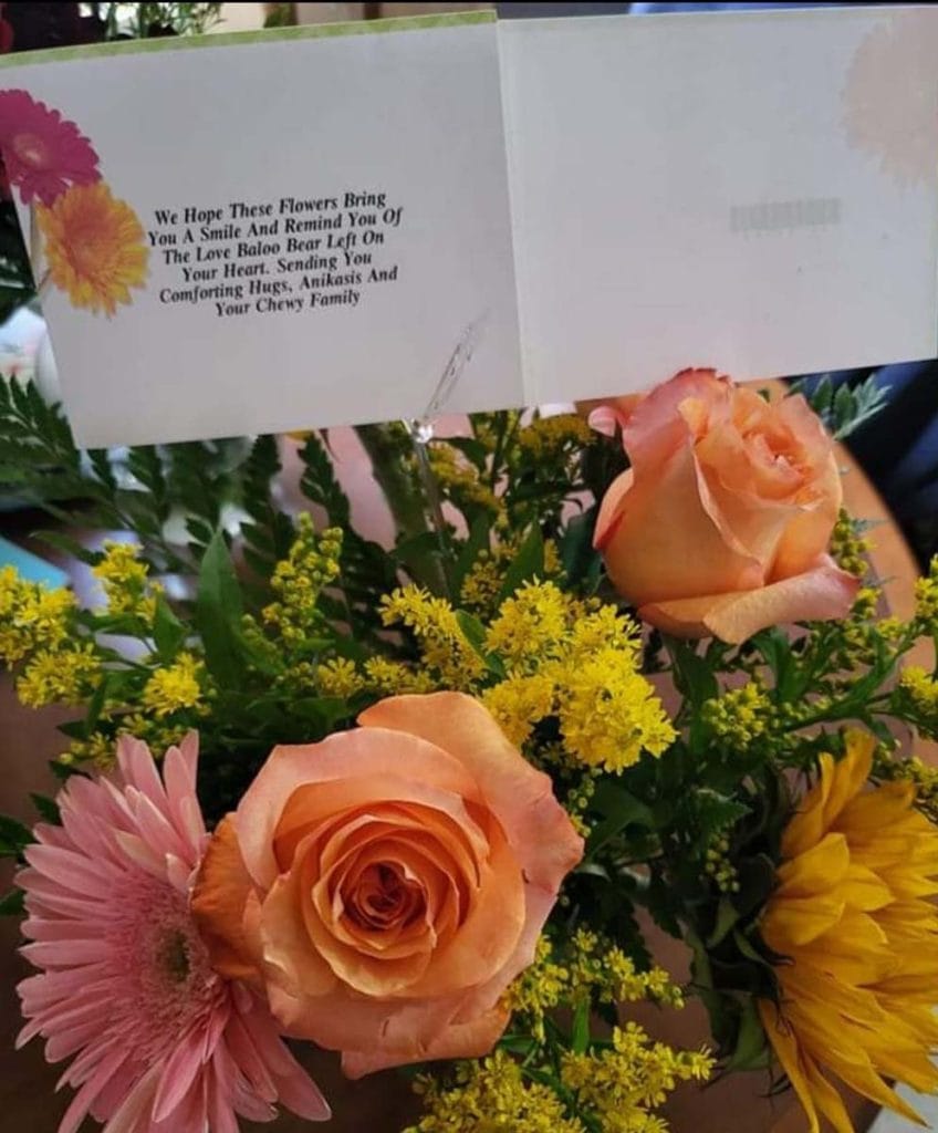 Sympathy flowers sent from Chewy when Stephanie's pup passed away