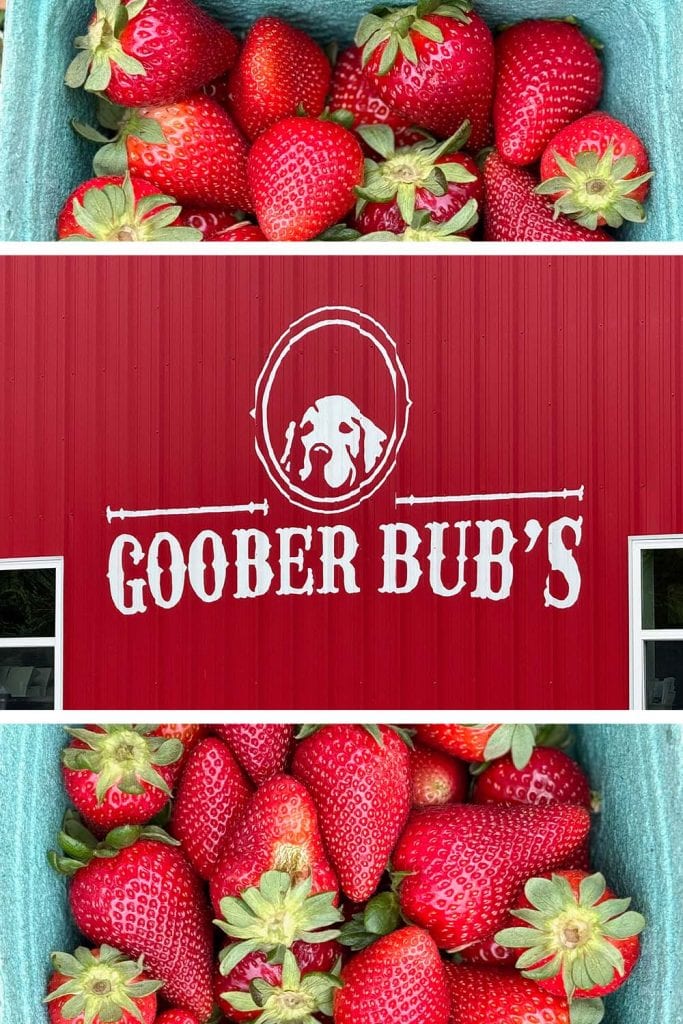 A red barn wall with the white logo for Goober Bub's surrounded by red, ripe strawberries